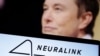 Neuralink của tỷ phú Musk muốn tuyển ba bệnh nhân để nghiên cứu cấy ghép não