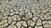 گرم موسم اور بارشوں میں کمی ؛ چین میں خشک سالی کا الرٹ جاری 